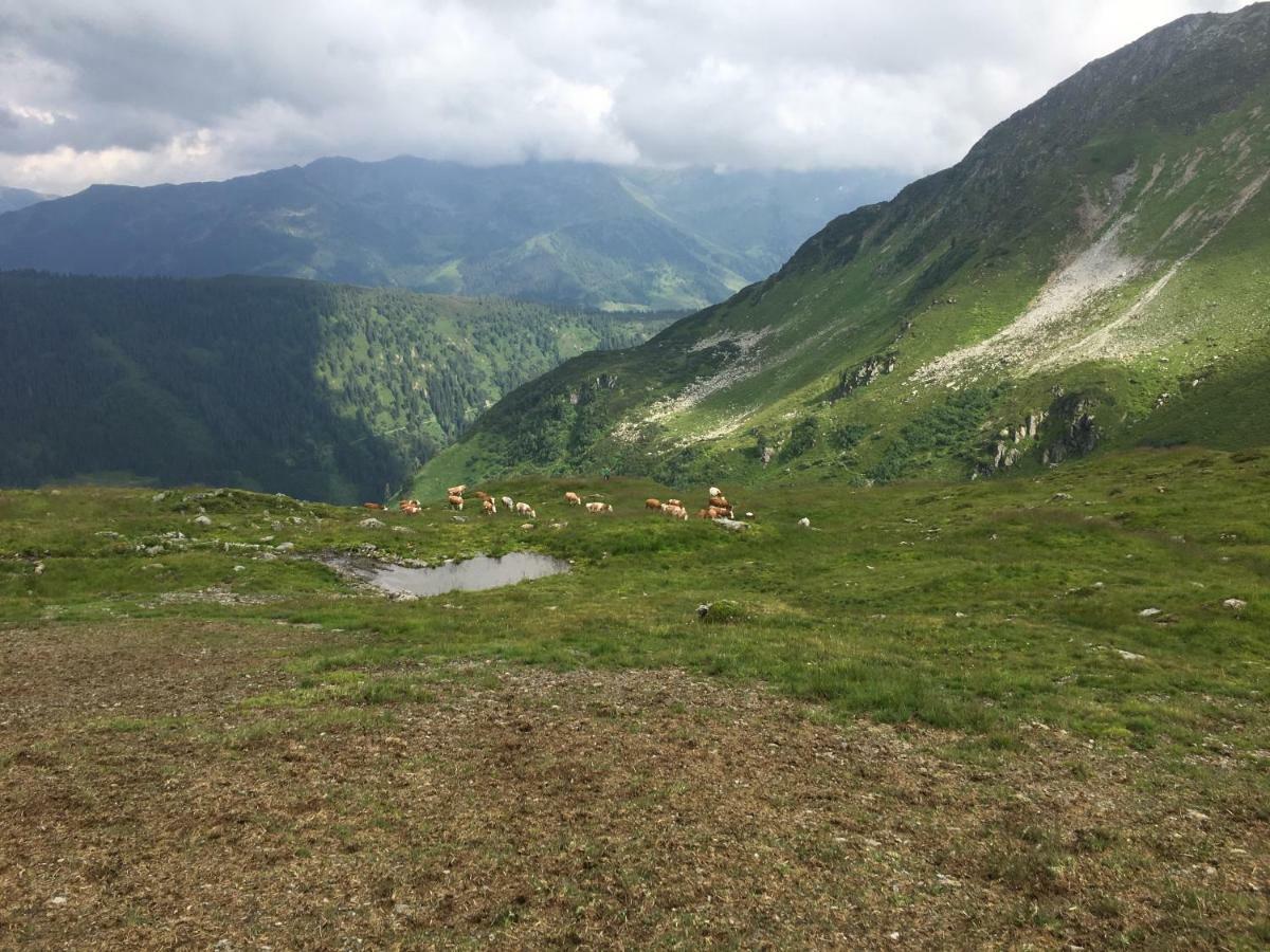 Appartement Muehlhaeusl Auffach Bagian luar foto